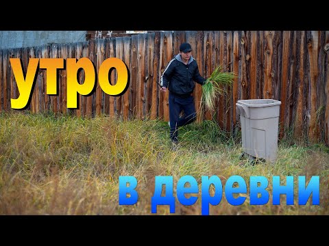 Видео: Жизнь в деревни утренние будни