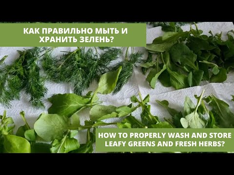 Видео: Как правильно мыть и хранить зелень