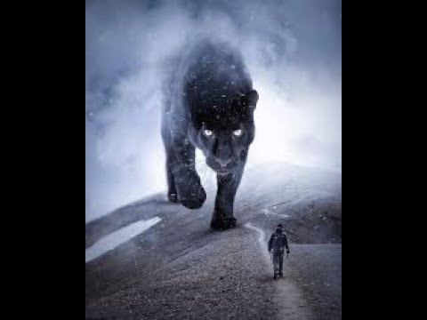 Видео: ПУТЫ КАРМИЧЕСКОЙ ДЕЯТЕЛЬНОСТИ. Леонид Тугутов (Лакшми Нараяна дас). Лекция-семинар.