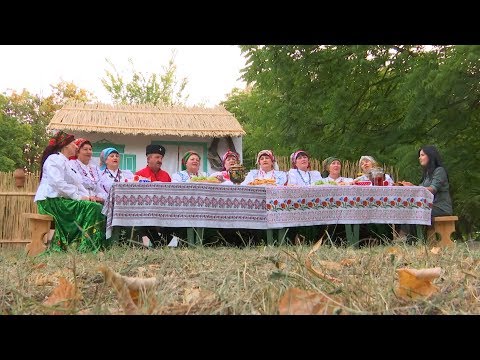 Видео: «Культурная навигация». Каневская