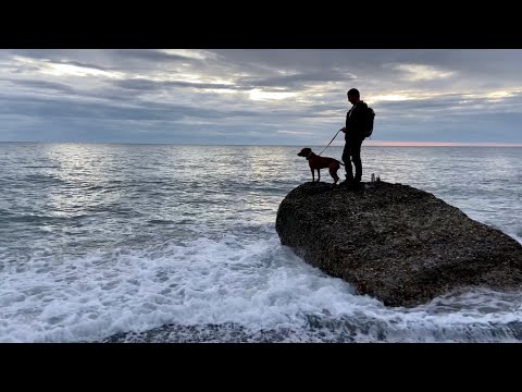 Видео: Чистый воздух и шикарные пейзажи.С собаками в горах. Лазаревское в декабре. Уехали из Москвы