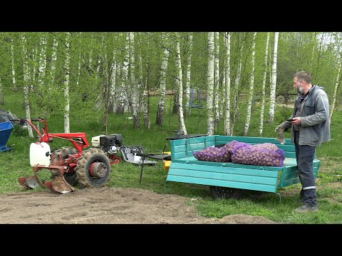 Видео: "Как сажал, как страдал" посадка картофеля с помощью КС01-01 и окучника. МТЗ Weima WM188F 13л/с.