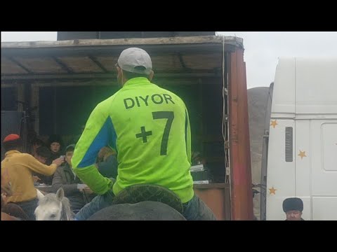 Видео: 5 марраи диёр +7 дар далёни поён