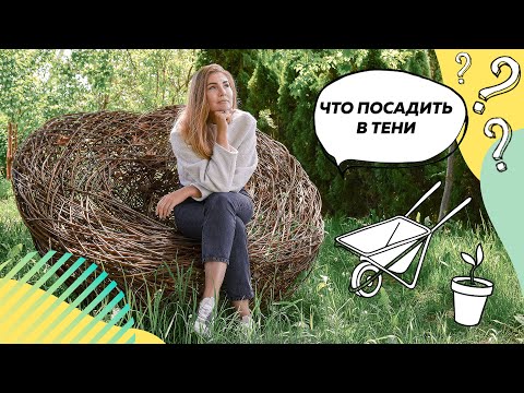 Видео: Что посадить в тени? | Растения для тени | Теневыносливые растения | Теневой цветник