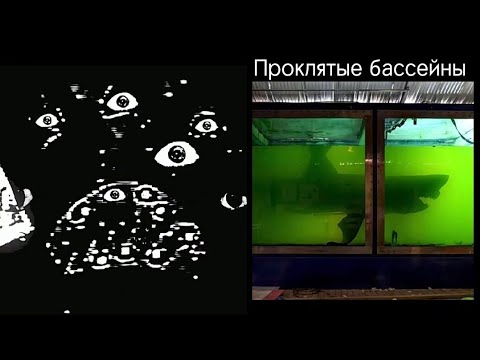Видео: Проклятые бассейны Психованные лица гд