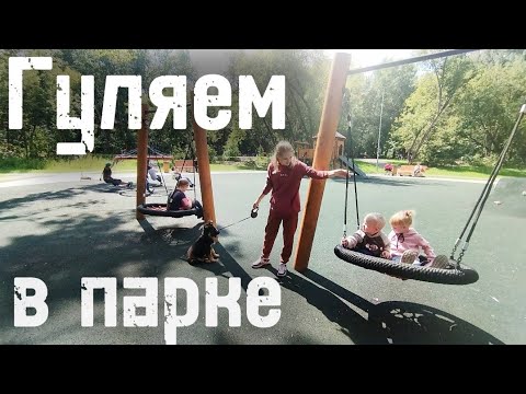 Видео: Прогулка по парку с "ГРОМОМ" | Встретили белку и уточек 🔥#немецкаяовчарка#germanshepherd 