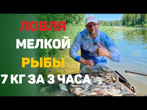 Видео: ловля мелкой рыбы