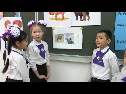 Видео: Қандай көлік түрлері бар?