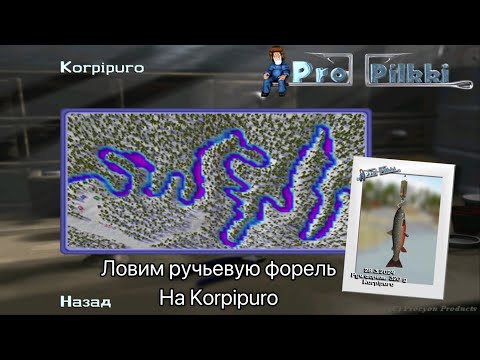 Видео: Ловлю ручьевую форель на Korpipuro