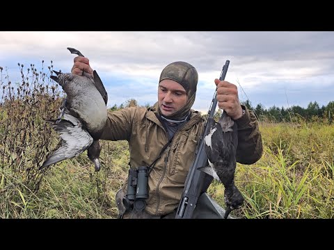 Видео: ОХОТА НА УТКУ С ПОДХОДА. ДОБЫЛ МЯСА НА ОБЕД. ЖДУ ЖИРНЫХ УТОК С ТУНДРЫ.