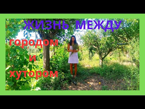 Видео: 39.  КУПИЛИ ХУТОР.  ГОТОВИМ РЫБНЫЙ УЖИН.  СОБИРАЕМ ПРЯНЫЕ ТРАВЫ.