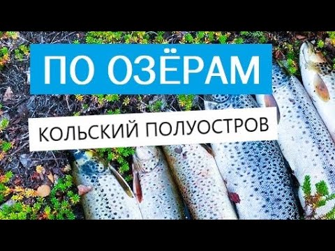 Видео: НОВЫЕ ОЗЁРА. Тяжёлый поплавок рулит! Рыбалка на Кольском.