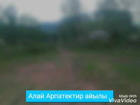 Видео: Алай Арпатектир айылы