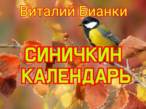 Видео: Октябрь, ноябрь, декабрь "Синичкин календарь" Аудиорассказ  с картинками