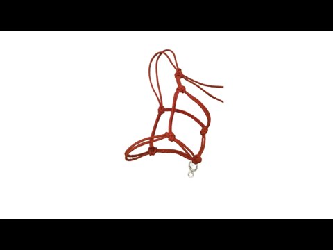 Видео: Қалай ноқта түйуге болады