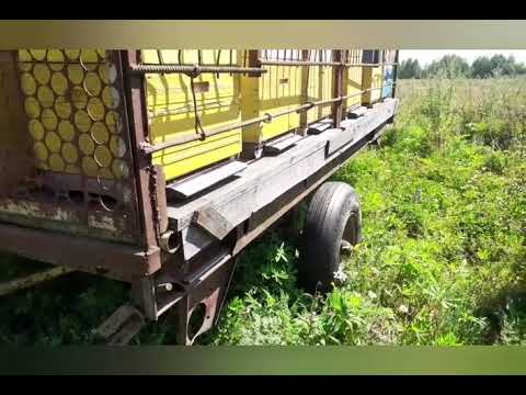 Видео: В поисках взятка, которого нет🤫