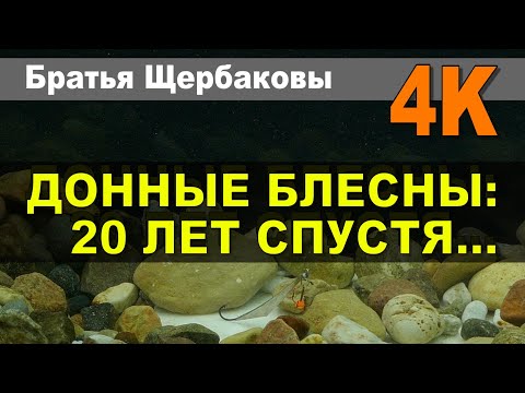 Видео: ДОННЫЕ БЛЕСНЫ: 20 ЛЕТ СПУСТЯ...