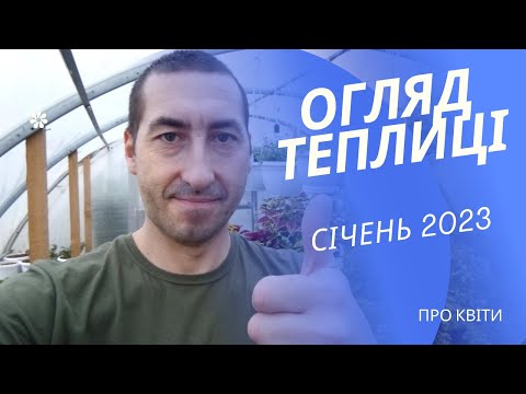 Видео: Огляд теплиці. Січень - 2023 рік.