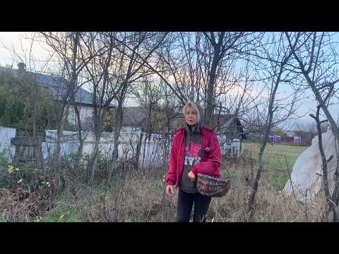 Видео: Слетела с катушек, пошла в сад по грибы. Живу одна на краю села