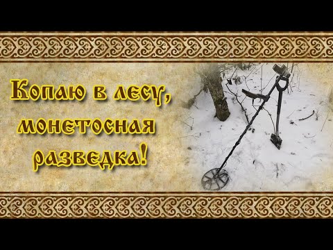 Видео: КОПАЮ В ЛЕСУ | МОНЕТОСНАЯ РАЗВЕДКА