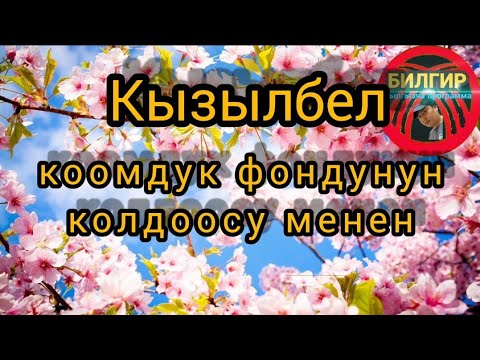 Видео: Кызылбел || Кызылбел коому || Москва 2022 || Кызылбел Москва || Кызылбелский 2022