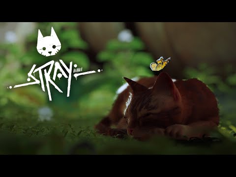 Видео: БРОДЯГА КОТ | STRAY #1
