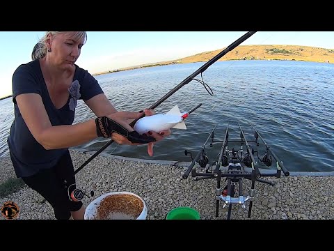 Видео: ПОБИЛИ ВСЕ РЕКОРДЫ 2020 ! КАРПФИШИНГ  В АВГУСТЕ НА ПРОСЯНКЕ