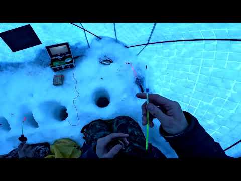 Видео: Рыбалка на Нижней Тунгуске