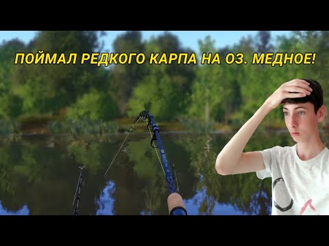 Видео: ПОЙМАЛ РЕДКОГО КАРПА НА ОЗЕРЕ МЕДНОЕ! Я ТАКОГО ЕЩЕ НЕ ВИДЕЛ!