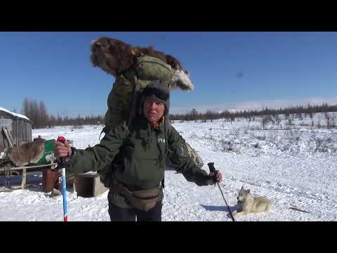 Видео: На лыжах по Юдомскому хребту