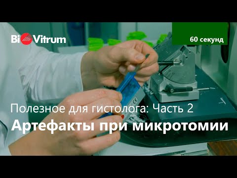 Видео: Артефакты при микротомии: Часть 2