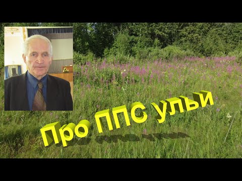 Видео: Профессор Кашковский про содержание пчёл в ППС ульях