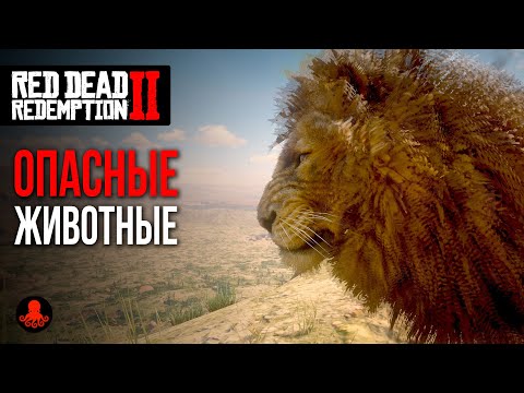 Видео: САМЫЕ ОПАСНЫЕ ЖИВОТНЫЕ в Red Dead Redemption 2 | RDR2