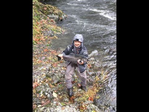 Видео: РЫБАЛКА НА ЛОСОСЯ, ОСЕННЯЯ ЧАВЫЧА И СБОР ГРИБОВ В США