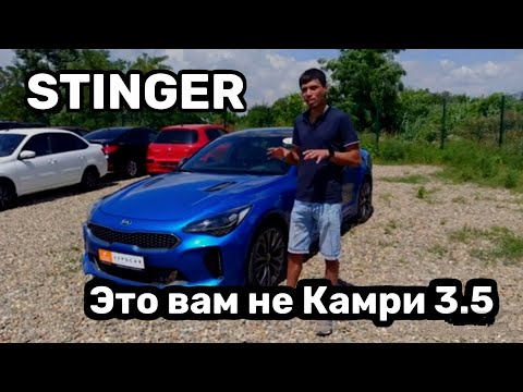 Видео: Обзор Kia Stinger Корейский BMW 3?