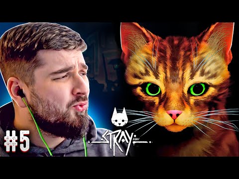 Видео: НА ПЛОТУ - STRAY ПРОХОЖДЕНИЕ #5