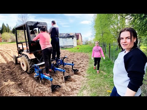 Видео: Сажаем картошку всей деревней по новому! Минитрактор Синтай 180