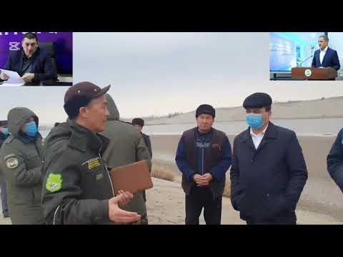 Видео: Гулом неча милярд тулайди энди ? 4 октября 2025 г.