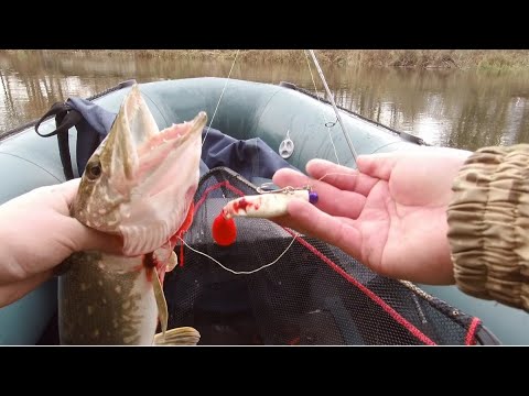 Видео: ШОК! ВИБРОХВОСТ СОБИРАЕТ ВСЮ ОСЕННЕЮ ЩЮКУ.... собери именно эту оснастку и проводку !!!