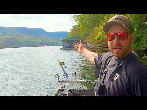 Видео: 100-ФУНТОВЫЙ сом живет ЗДЕСЬ!!