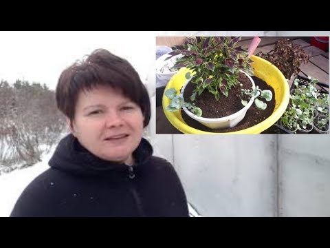Видео: Делаю лето 😉😄🌞!