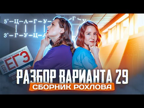 Видео: Разбор варианта 29 | Сборник Рохлова | ЕГЭ-2025 по биологии