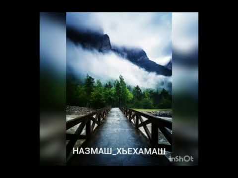 Видео: Назма хьаьжи мовсар 1едало д1а лацар