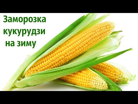 Видео: Кукурудза на зиму Заморозка Як правильно заморозити і готувати?!