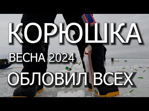 Видео: ВЕСЕННЯЯ КОРЮШКА НА ФИНСКОМ ЗАЛИВЕ | ОБЛОВИЛ ВСЕХ