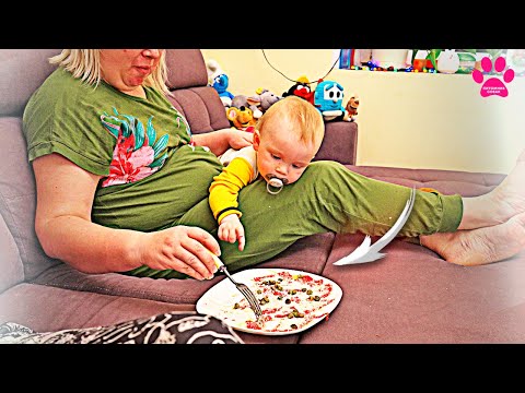 Видео: Мама ест сырое мясо и ребенок хочет тоже! Экспериментальный семейный влог про собак и людей. День 02