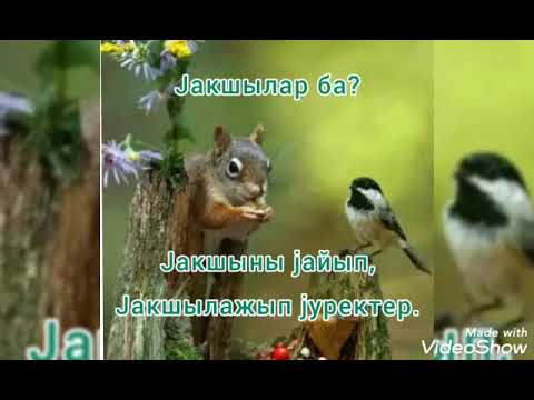 Видео: Песня Алтайский