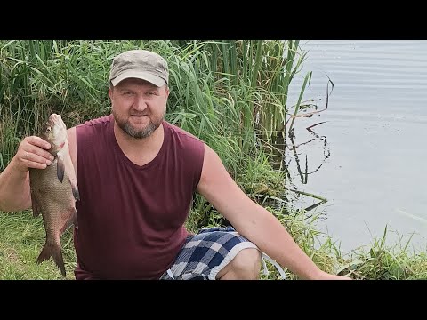 Видео: Отдых с элементами рыбалки! Яузское ВДХР!