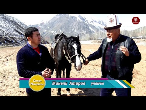 Видео: Жаныш Балбан: Азыркыдай соорундар коюлганда, машинадан кашаа тутмакмын 02.04.2022.