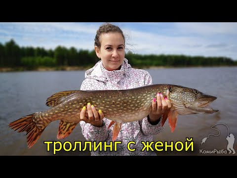 Видео: Троллинг щуки 2020 на Вычегде. Жена обловила учителя!!! Республика Коми. Pike to trolling